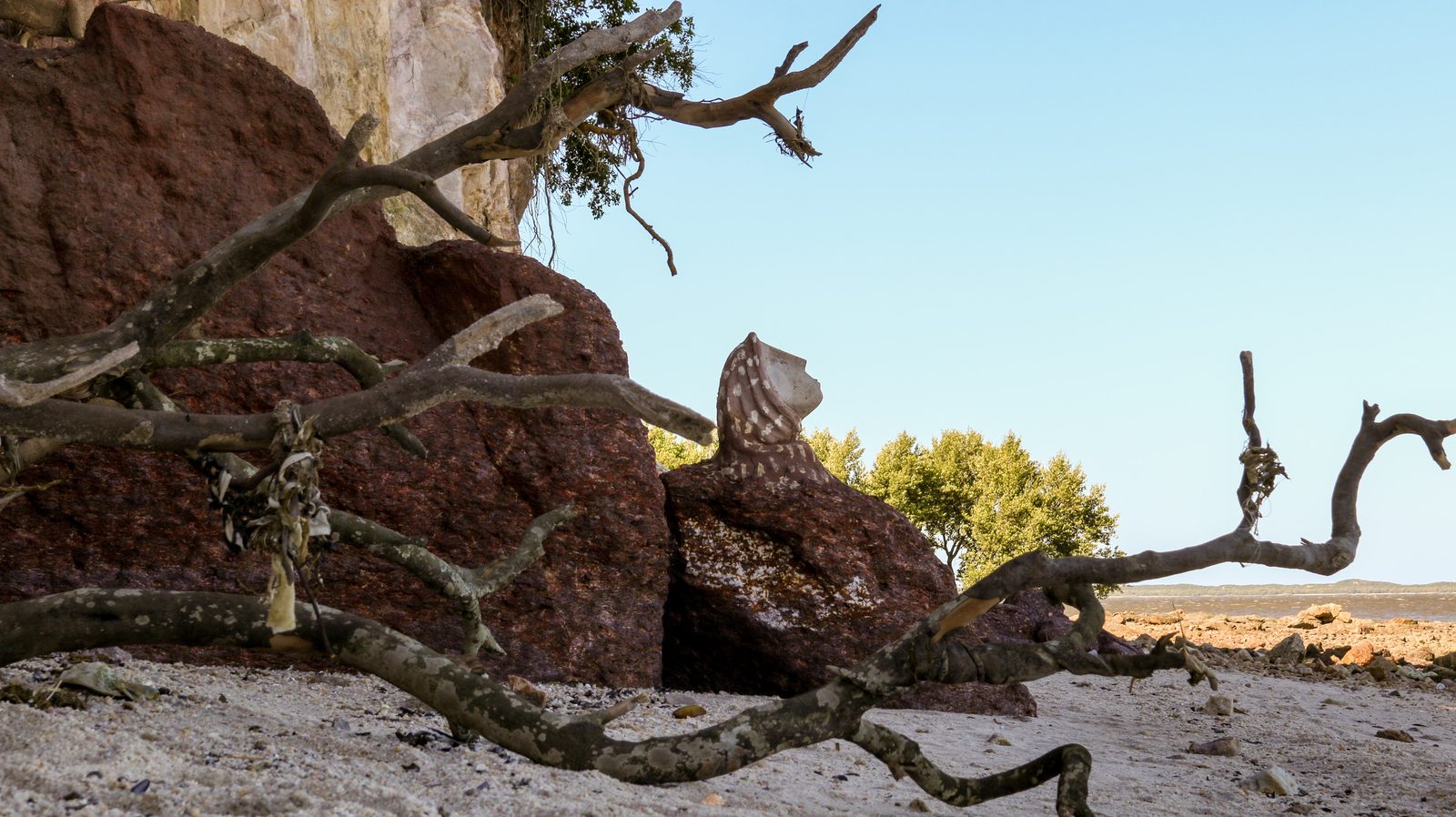 Ecos de Jurema — escultura sonora no MUHCAB